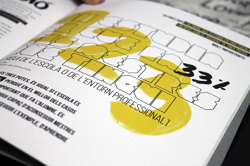 CONILLETS D'ÍNDIES 17