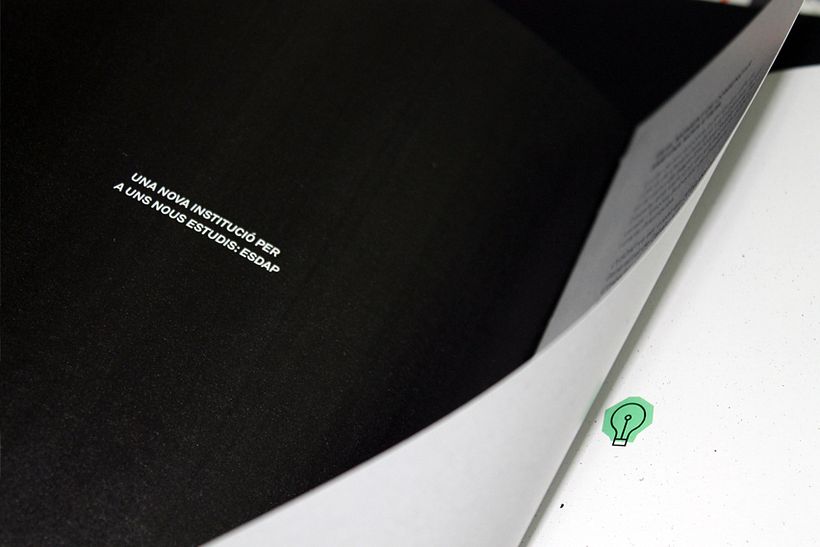 CONILLETS D'ÍNDIES 19