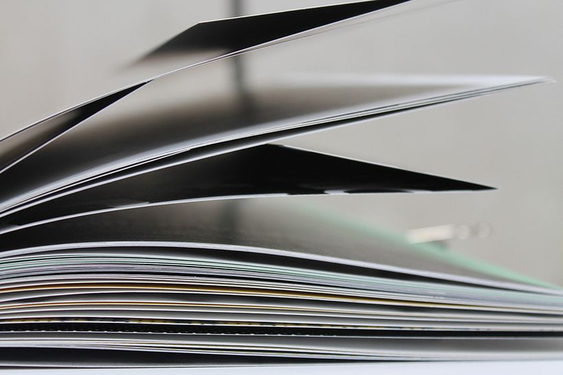 CONILLETS D'ÍNDIES 23