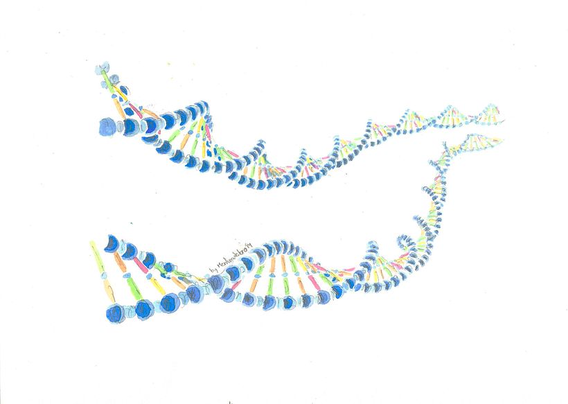 DNA Structure, commission 0