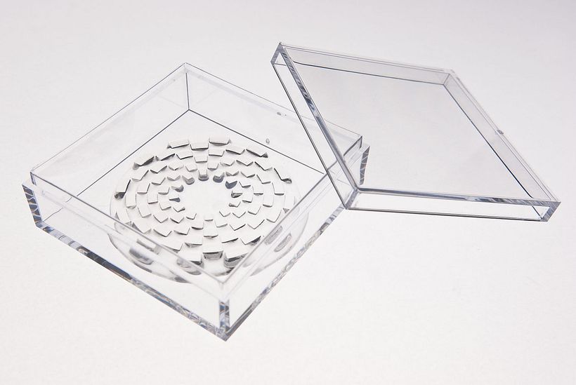 Timbri trasparenti circolari 10