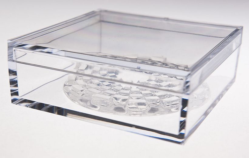 Timbri trasparenti circolari 11