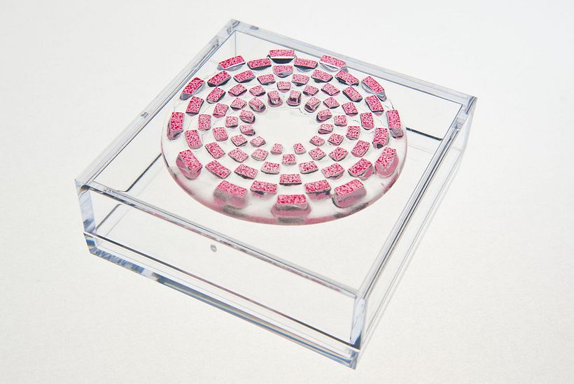 Timbri trasparenti circolari 12