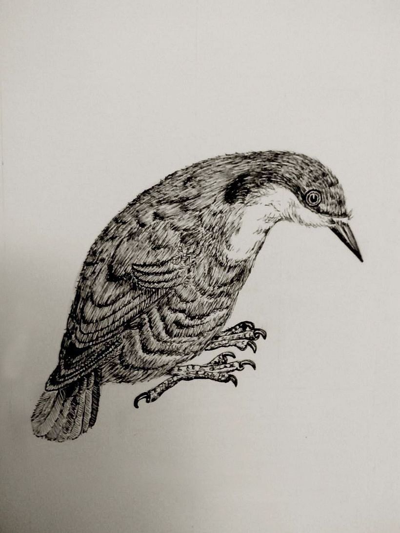 Ink drawing 3