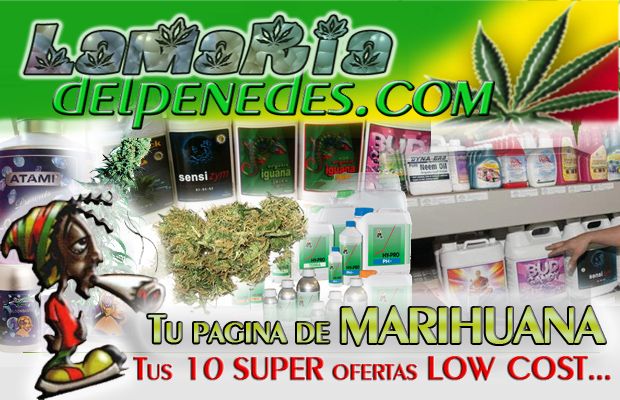 Tarjetas y carteleria en general para tu negocio. Imagen corporativa, personalizada. Precios ajustados. 4