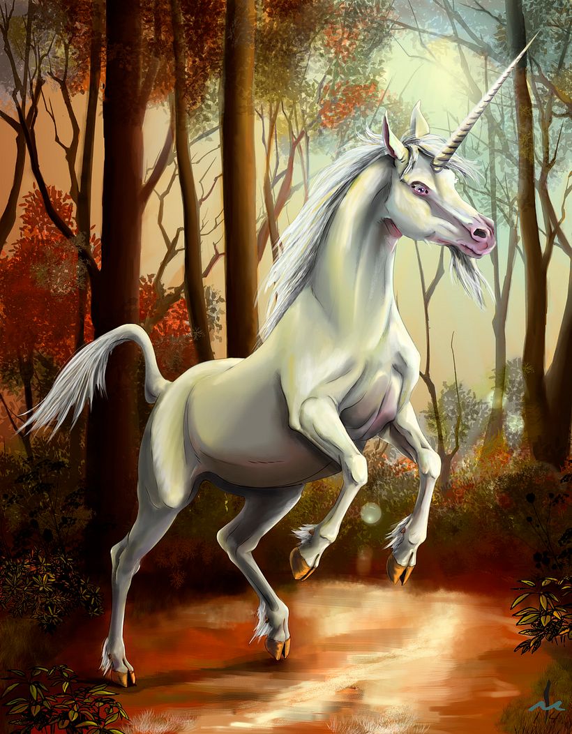 Reto Unicornio 0
