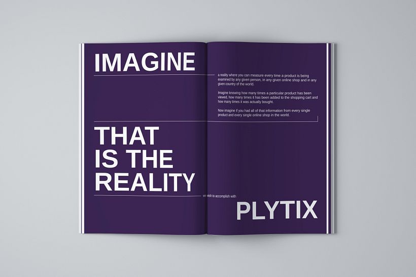 Plytix | Business Plan 3