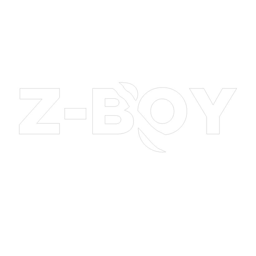 Z-Boy 1