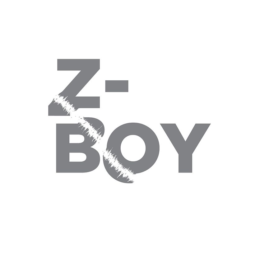Z-Boy 6