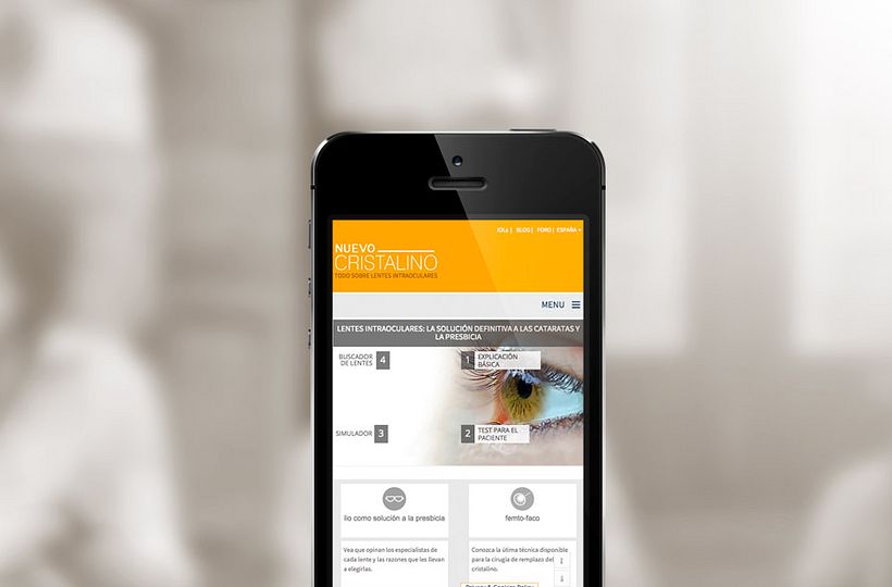 Web Nuevo Cristalino 2
