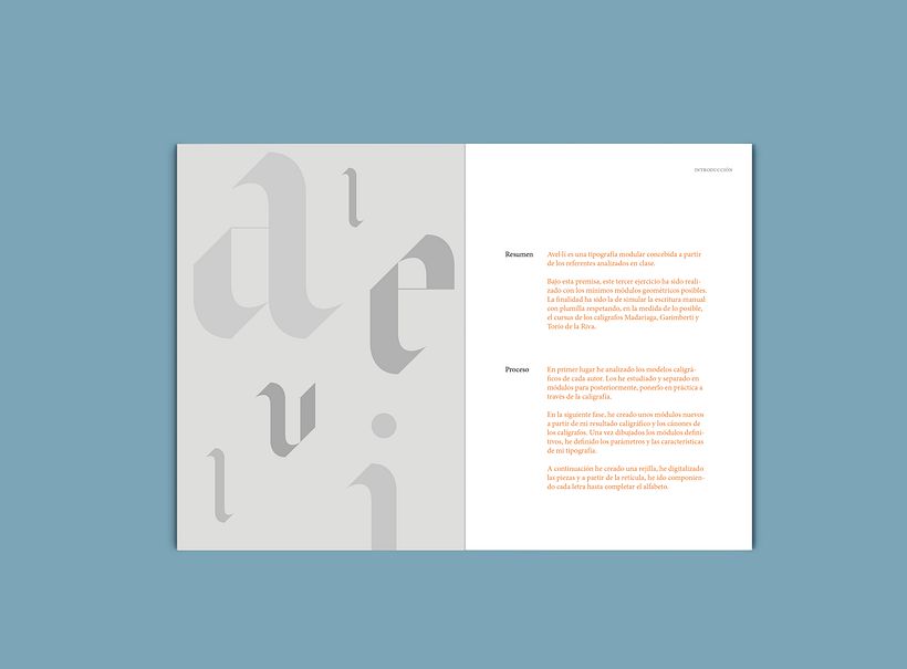 Avel.lí  especimen 2