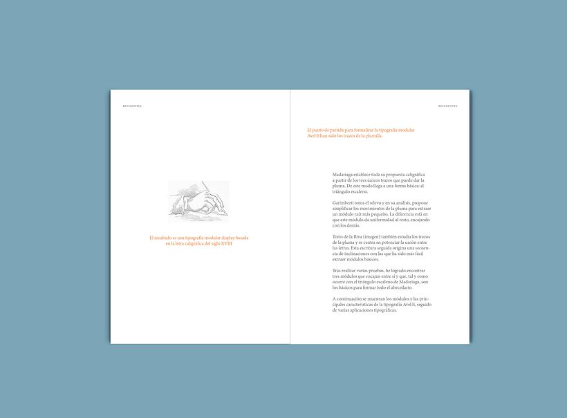 Avel.lí  especimen 3