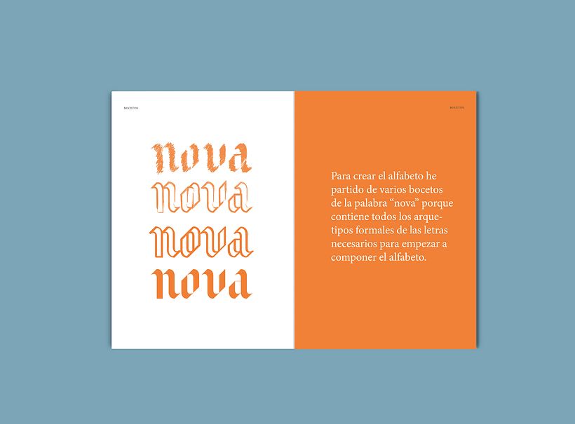 Avel.lí  especimen 4