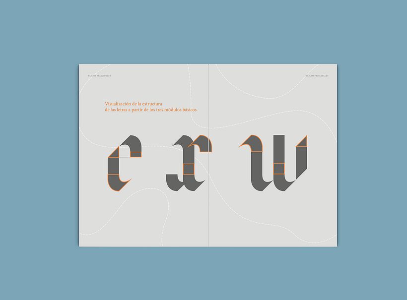 Avel.lí  especimen 7