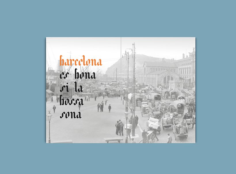 Avel.lí  especimen 10