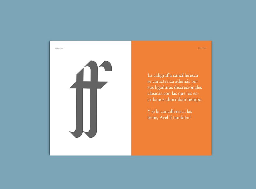 Avel.lí  especimen 11