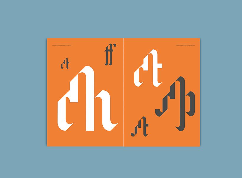 Avel.lí  especimen 13