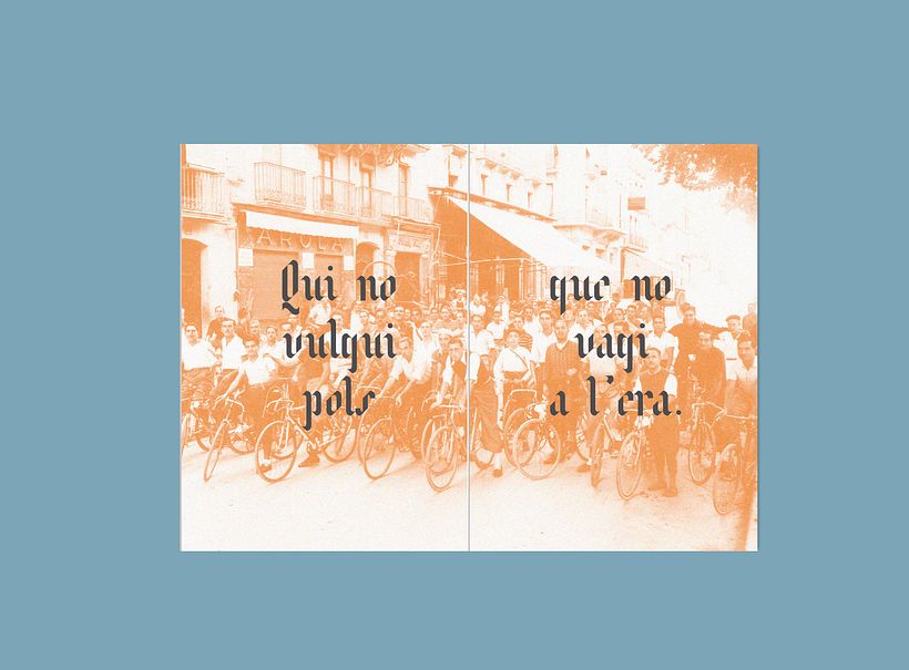 Avel.lí  especimen 16