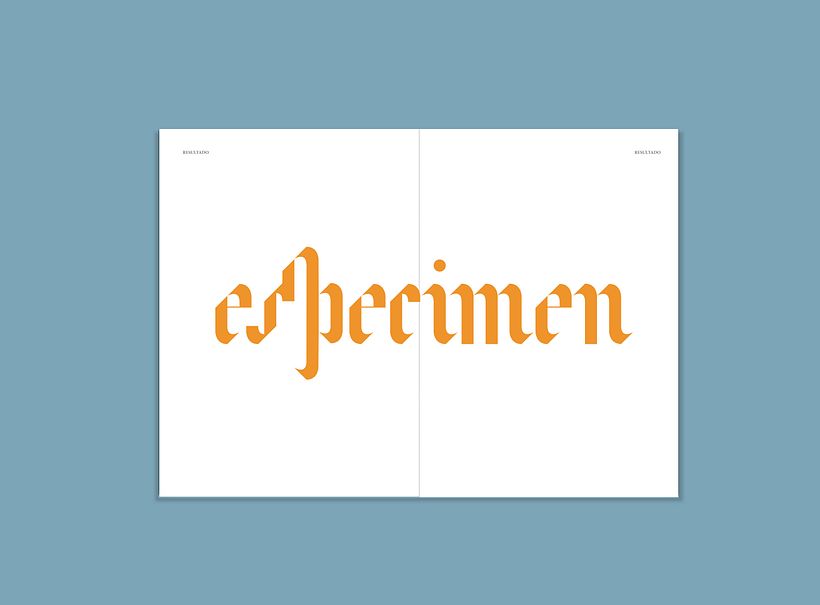 Avel.lí  especimen 17