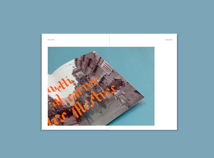 Avel.lí  especimen 23