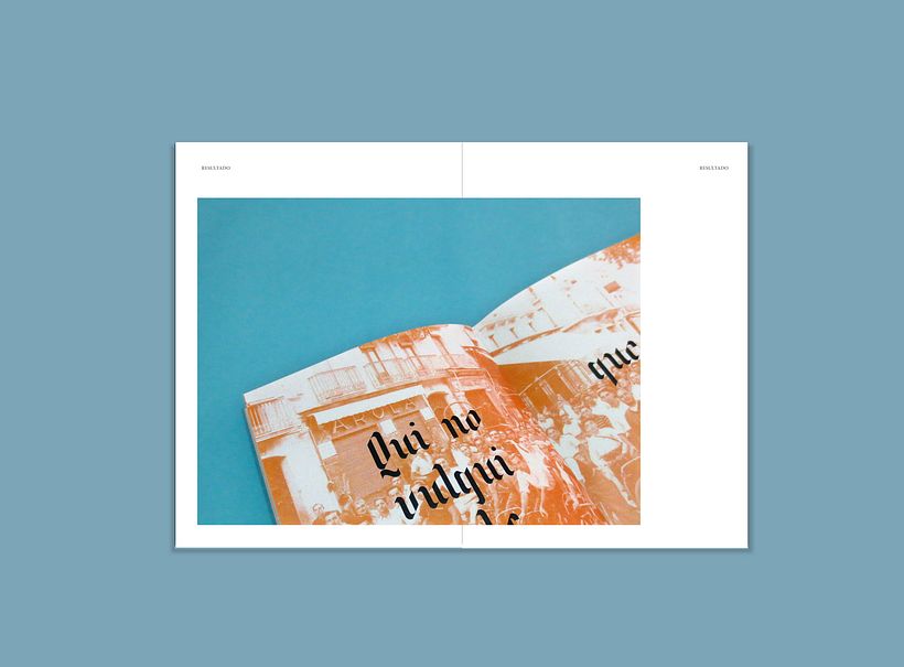 Avel.lí  especimen 24