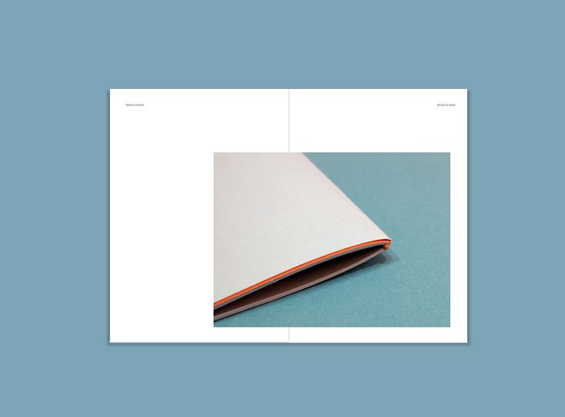 Avel.lí  especimen 25