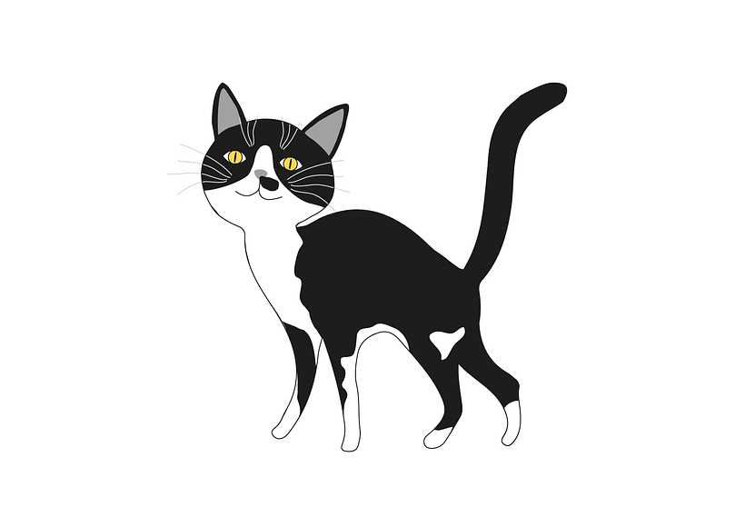 isa vice creative & nico 2