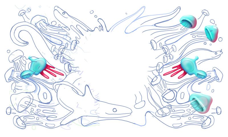 Wacom / Blanc Festival  2