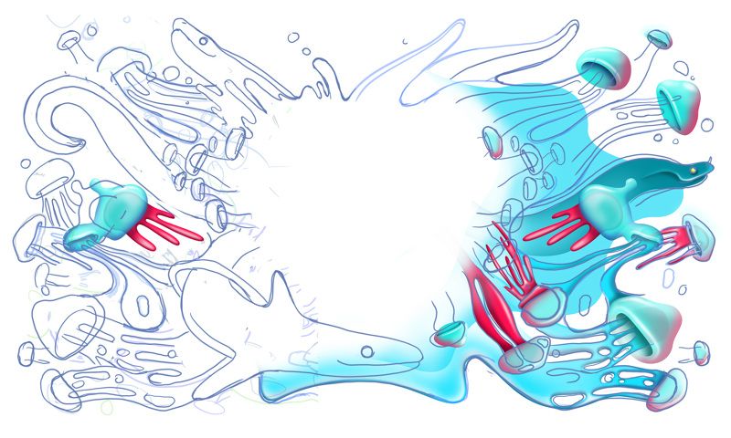 Wacom / Blanc Festival  3