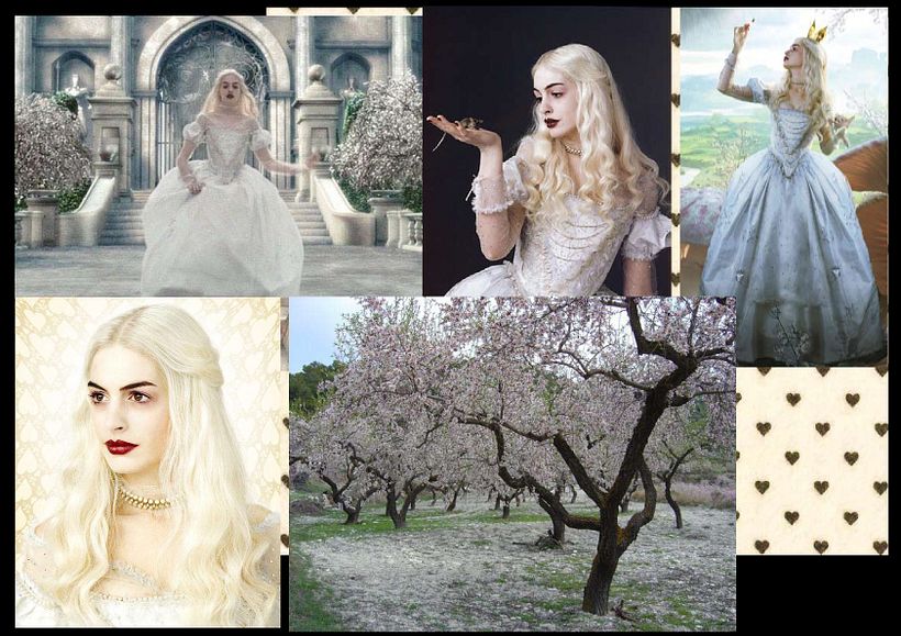 Colección Alice in Wonderland 5