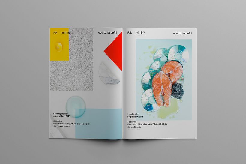 Oculto mag 14