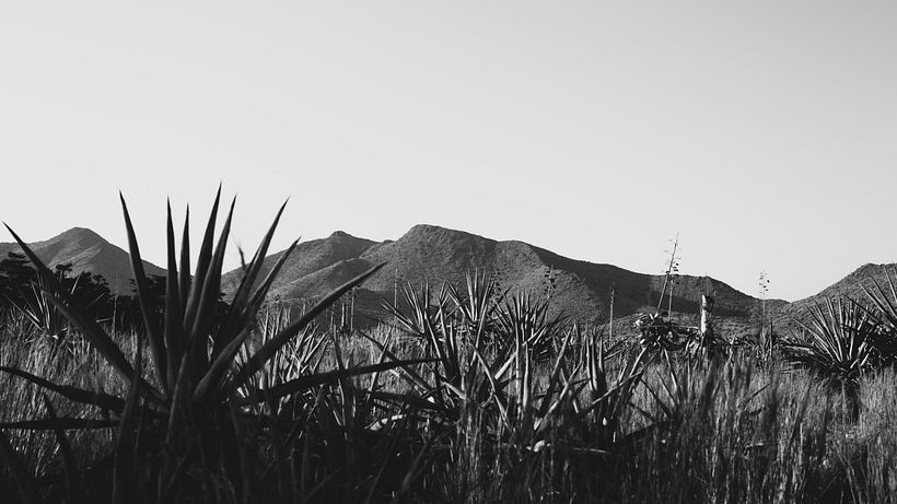 Desert -1