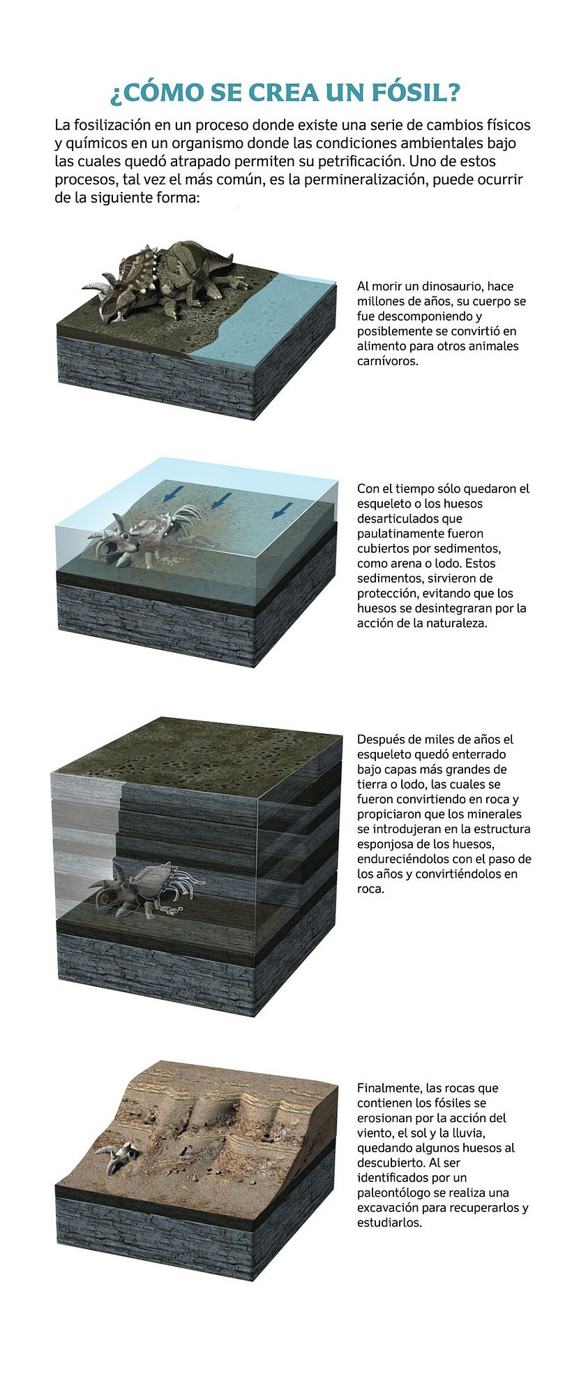 Dinosaurs of Coahuila, Mexico Unknown January 2015 6