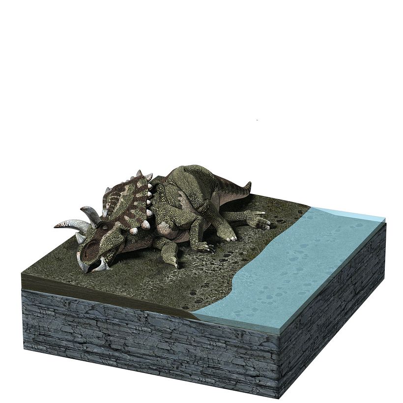 Dinosaurs of Coahuila, Mexico Unknown January 2015 8