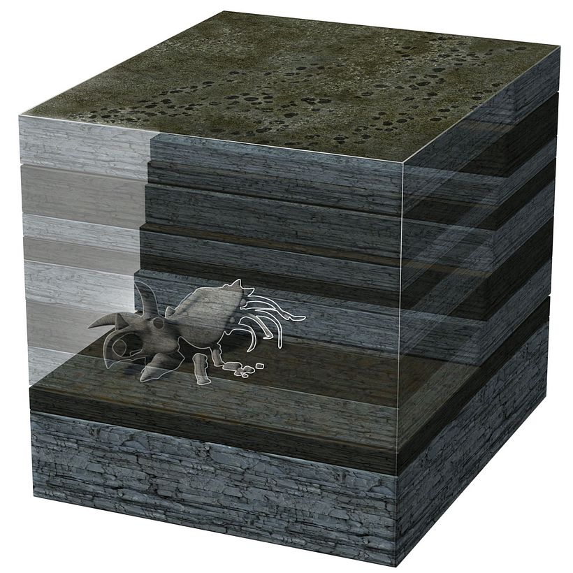 Dinosaurs of Coahuila, Mexico Unknown January 2015 10