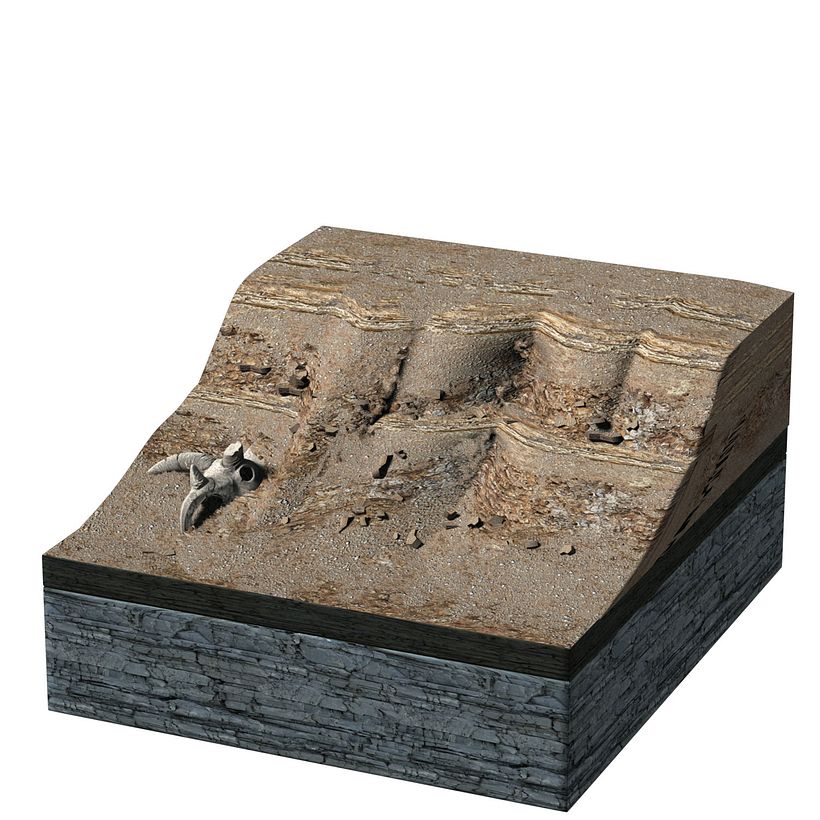 Dinosaurs of Coahuila, Mexico Unknown January 2015 11