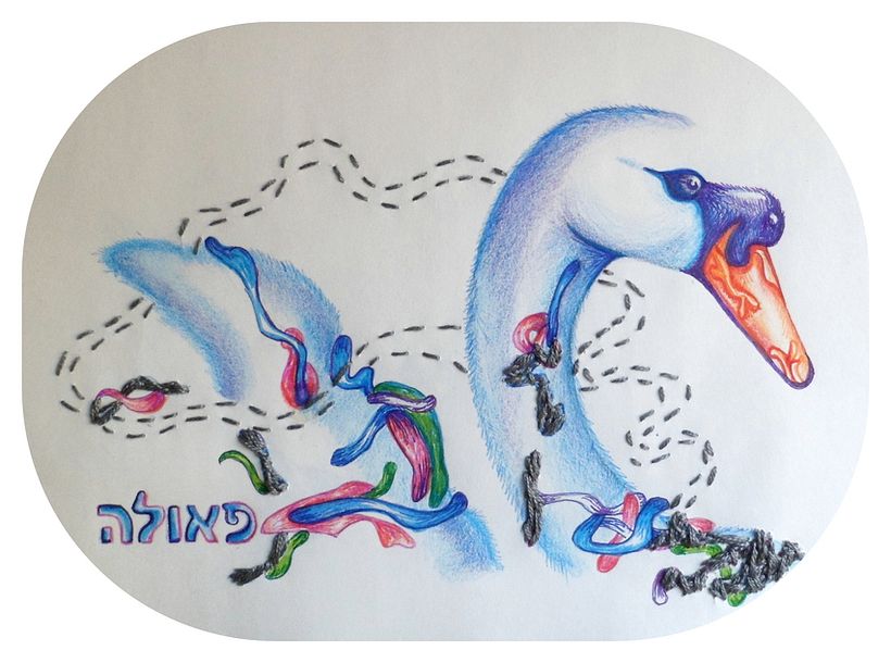 Ilustraciones 1