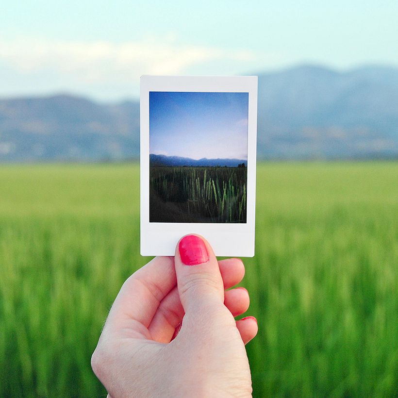 El Proyecto Polaroid 0