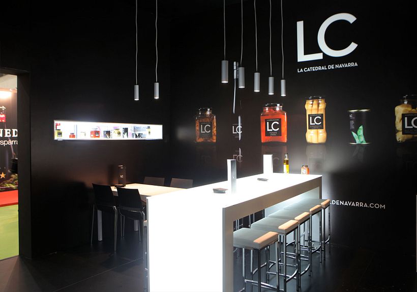 La catedral de navarra 14