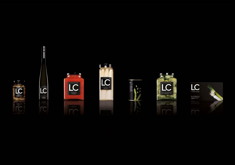 La catedral de navarra 15