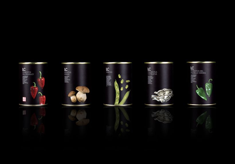 La catedral de navarra 17