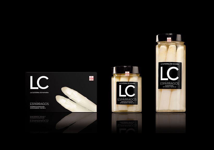 La catedral de navarra 18