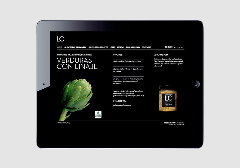 La catedral de navarra 23