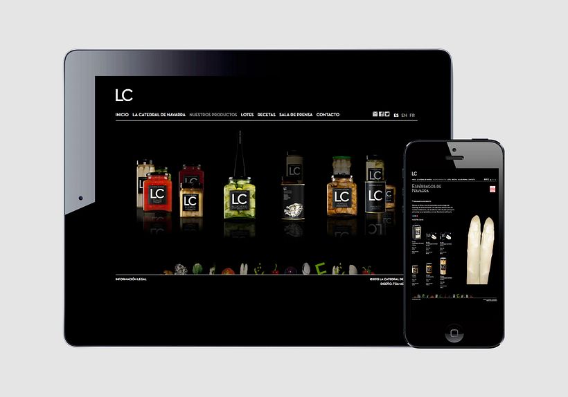 La catedral de navarra 24