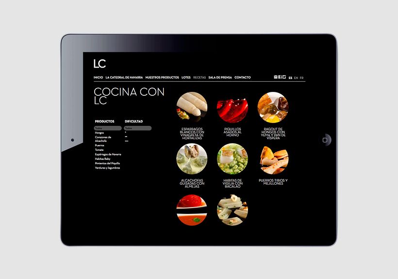 La catedral de navarra 25