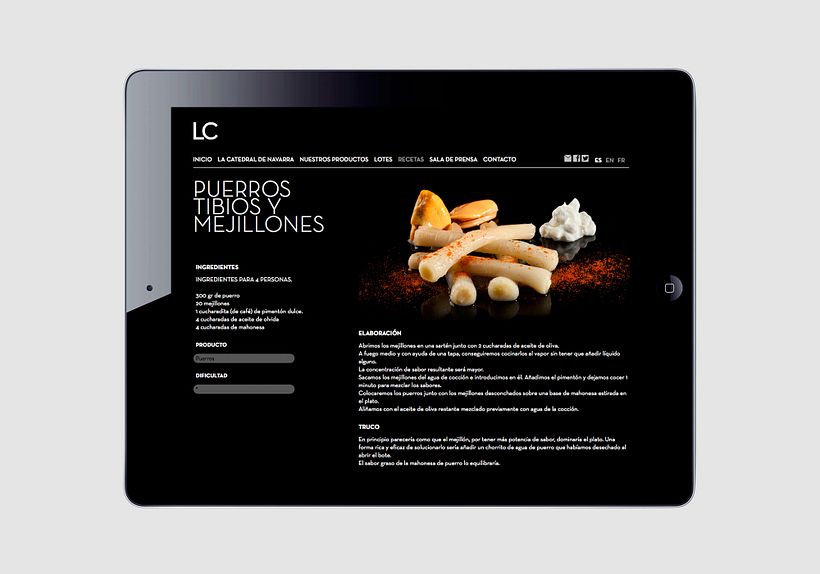 La catedral de navarra 26