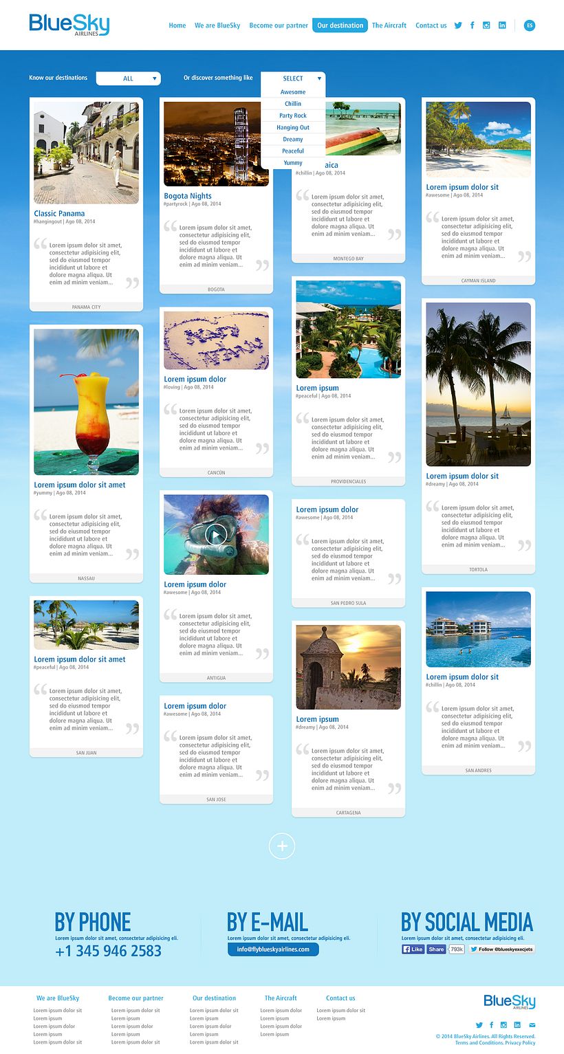 BlueSky Airlines Website 3