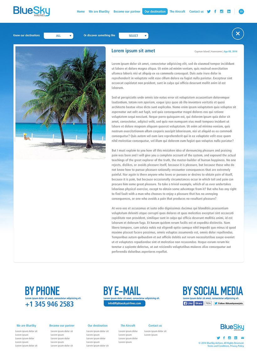 BlueSky Airlines Website 4