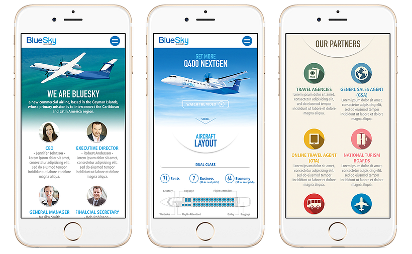 BlueSky Airlines Website 8