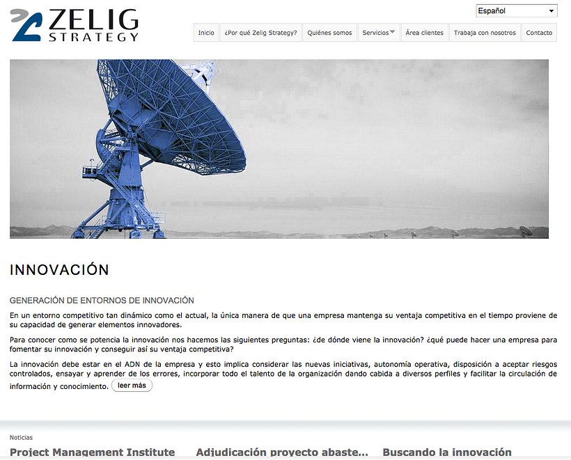 Zelig Strategy. Sitio Web 0